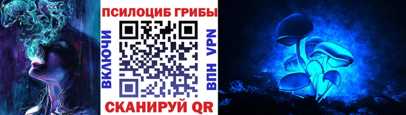Купить закладки Можга Псилоцибиновые грибы мухоморы